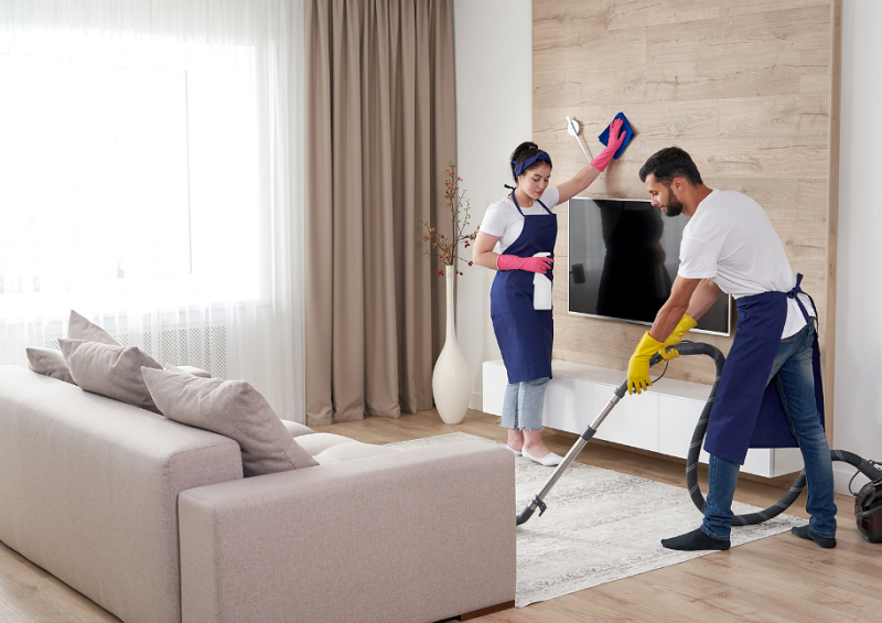 professional home maid services